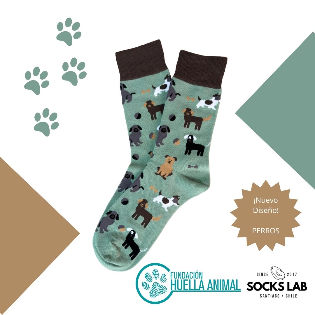 Calcetines con diseño Socks Lab - Perros