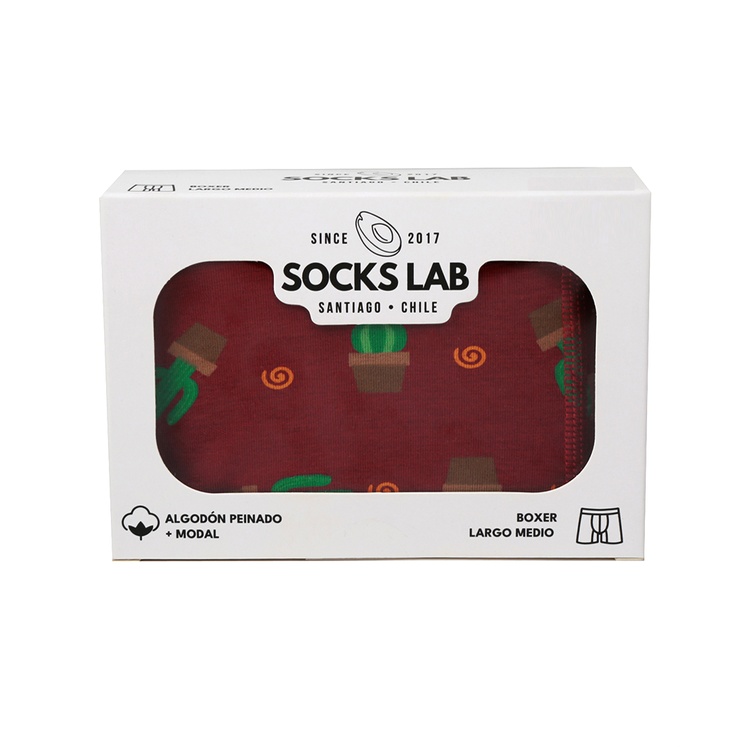 Boxers - Pack x1 - Cactus