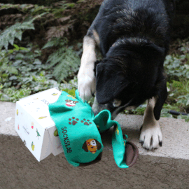 Calcetines con diseño Socks Lab - Perros