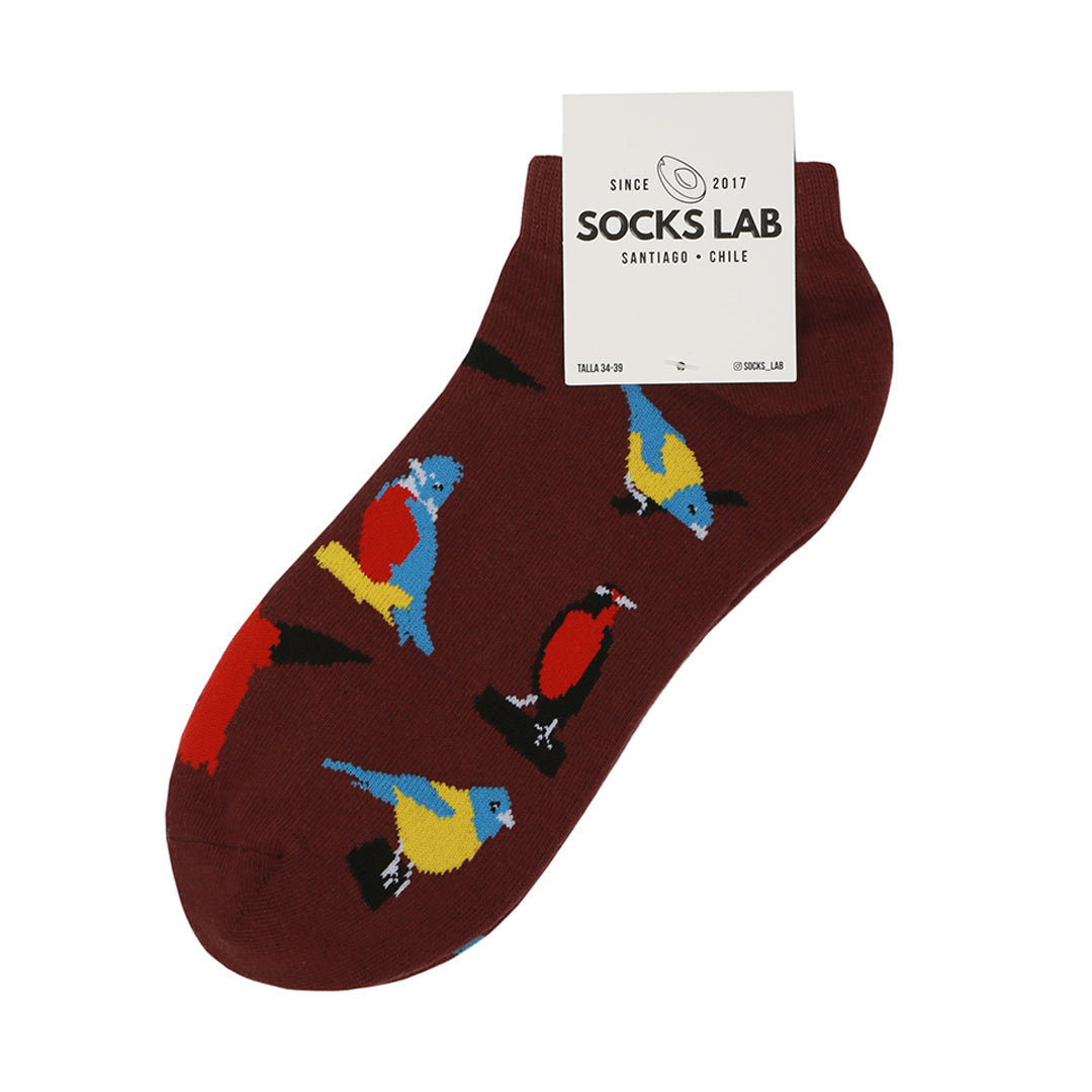 Calcetines con diseño Socks Lab - Pájaros