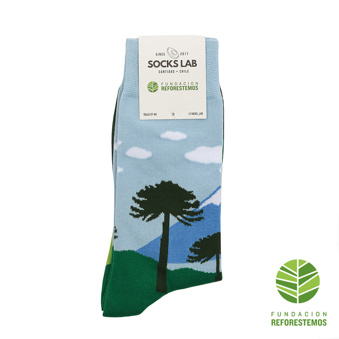 Calcetines con diseño Socks Lab - Reforestemos