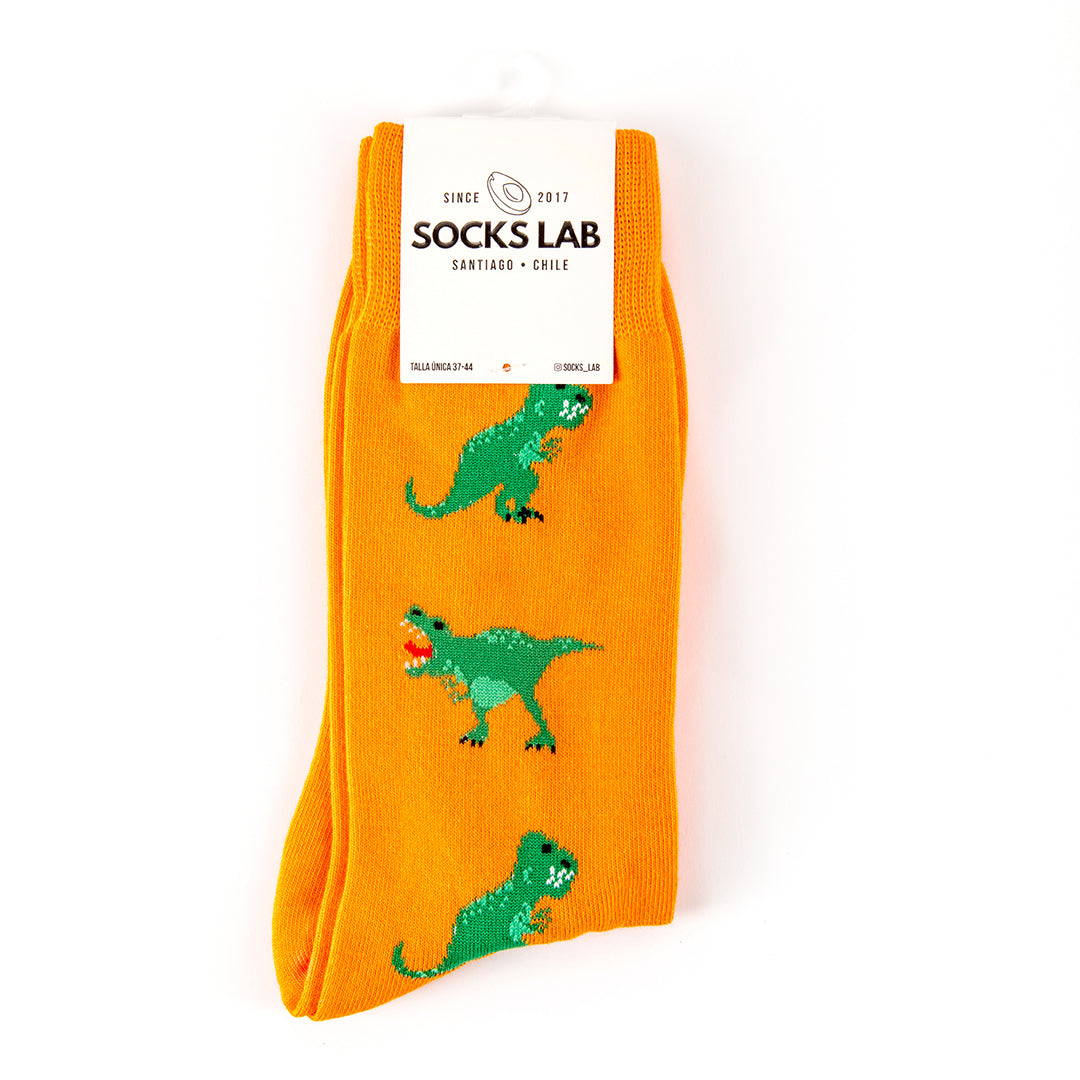 Calcetines con diseño Socks Lab - Dinosaurio T-Rex