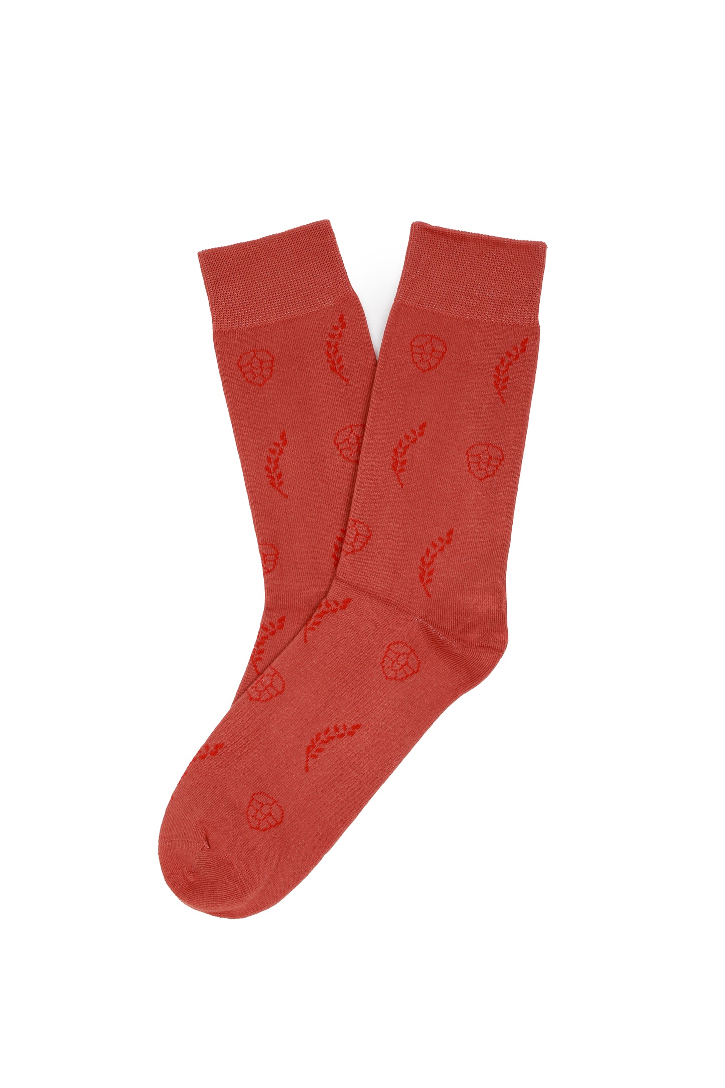 Calcetines con diseño Socks Lab - Cebada