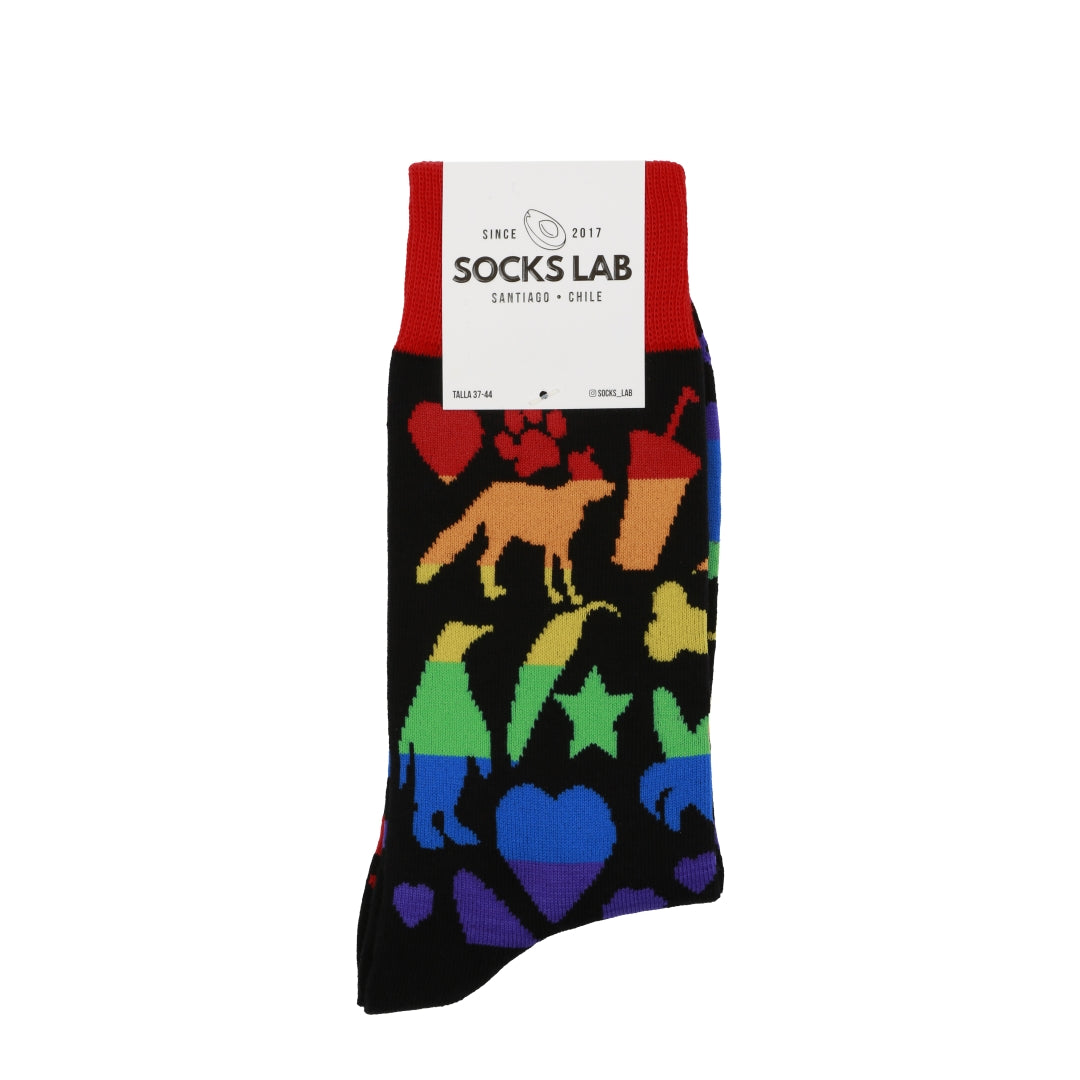 Calcetines con diseño Socks Lab - Pride