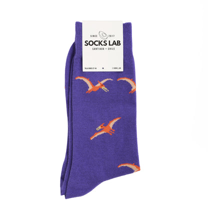 Calcetines con diseño Socks Lab - Pterodáctilo