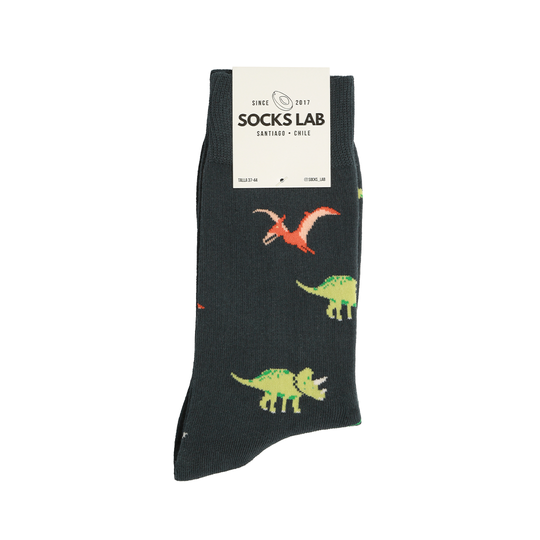 Calcetines con diseño Socks Lab - Dino Mix
