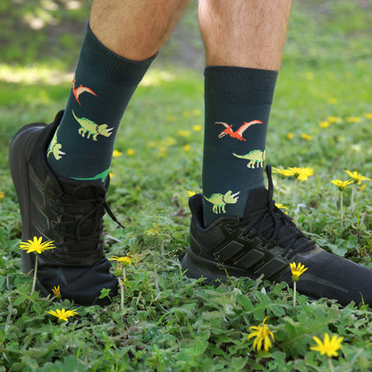 Calcetines con diseño Socks Lab - Dino Mix